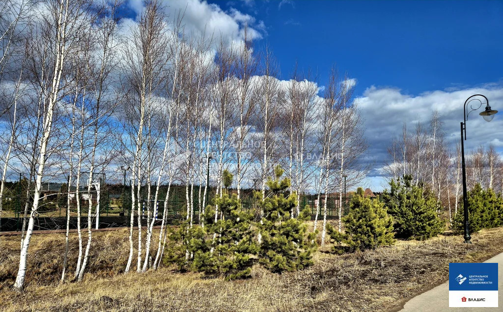 Продажа участка, Варские, Рязанский район, Благовещенская улица - Фото 13