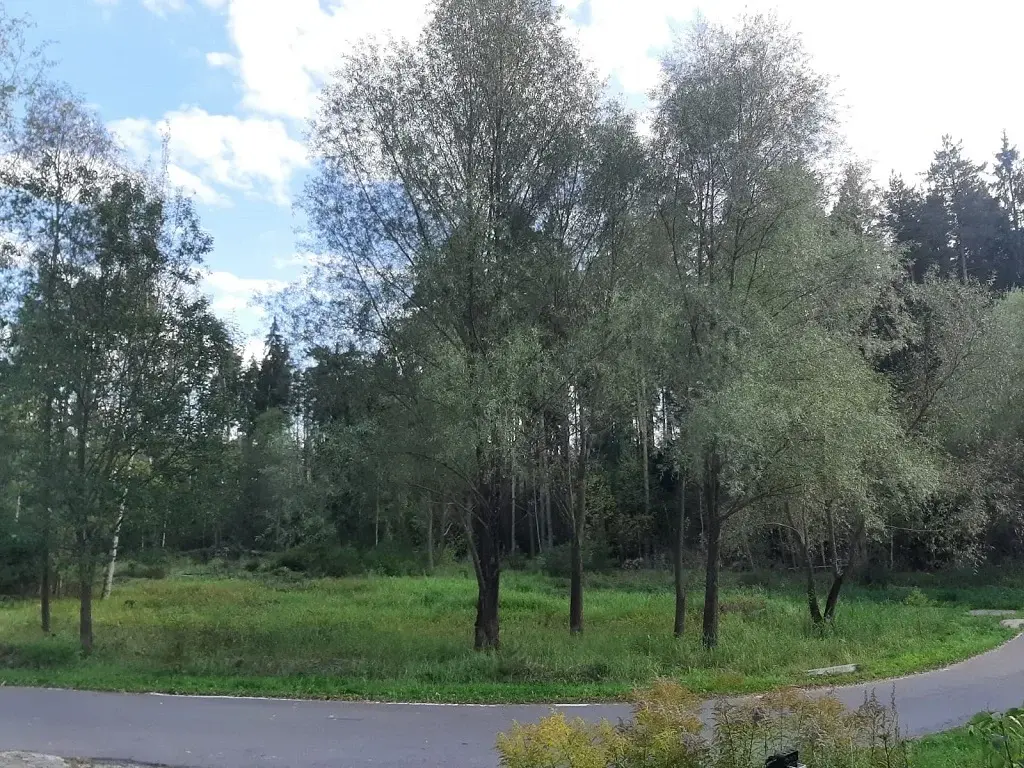 Продажа лесного участка в тихом месте на Рублевке на Николиной горе - Фото 8