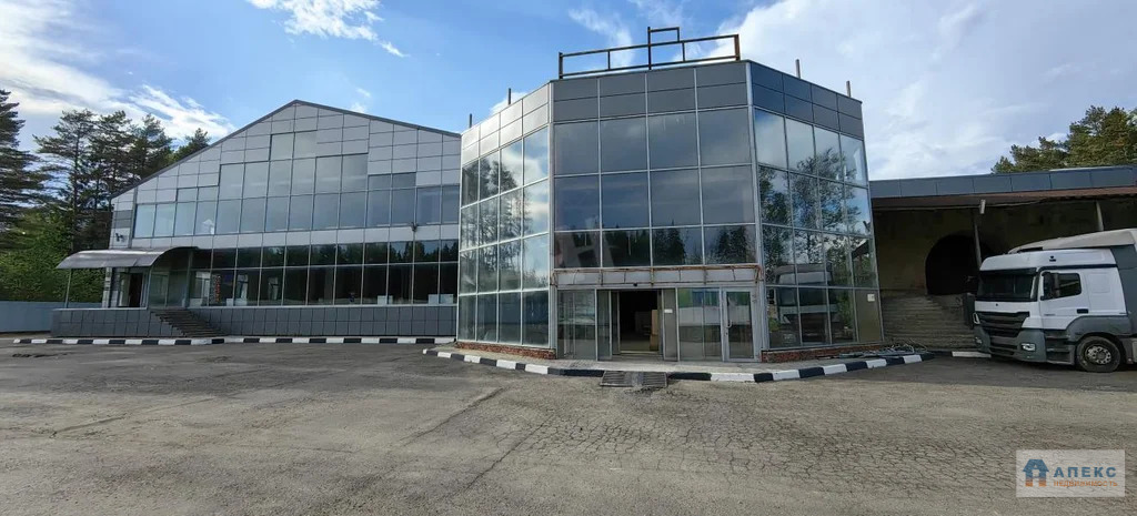 Аренда помещения (ПСН) пл. 547 м2 под автосалон, бытовые услуги, кафе, ... - Фото 8