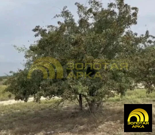 Продажа участка, Кубанская Колонка, Крымский район, ул. Жукова - Фото 1