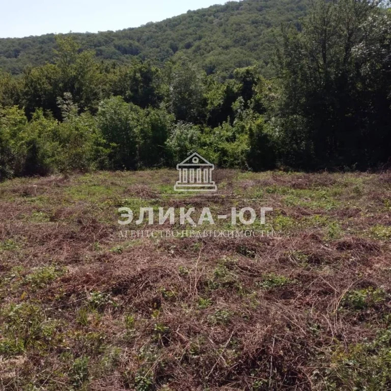 Продажа участка, Пляхо, Туапсинский район, Молодежный кв-л. - Фото 3