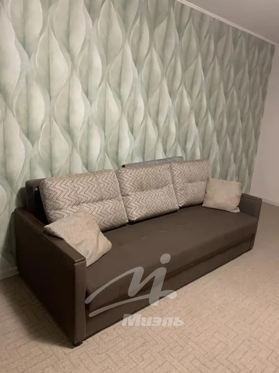 Аренда квартиры, Таможенный проезд - Фото 15