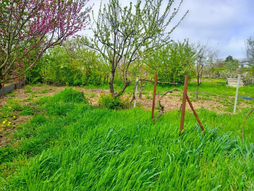 Продажа дома, Голубицкая, Темрюкский район, ул. Виноградная - Фото 35