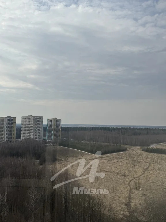 Аренда квартиры, Андреевка, Солнечногорский район, 31Б - Фото 18