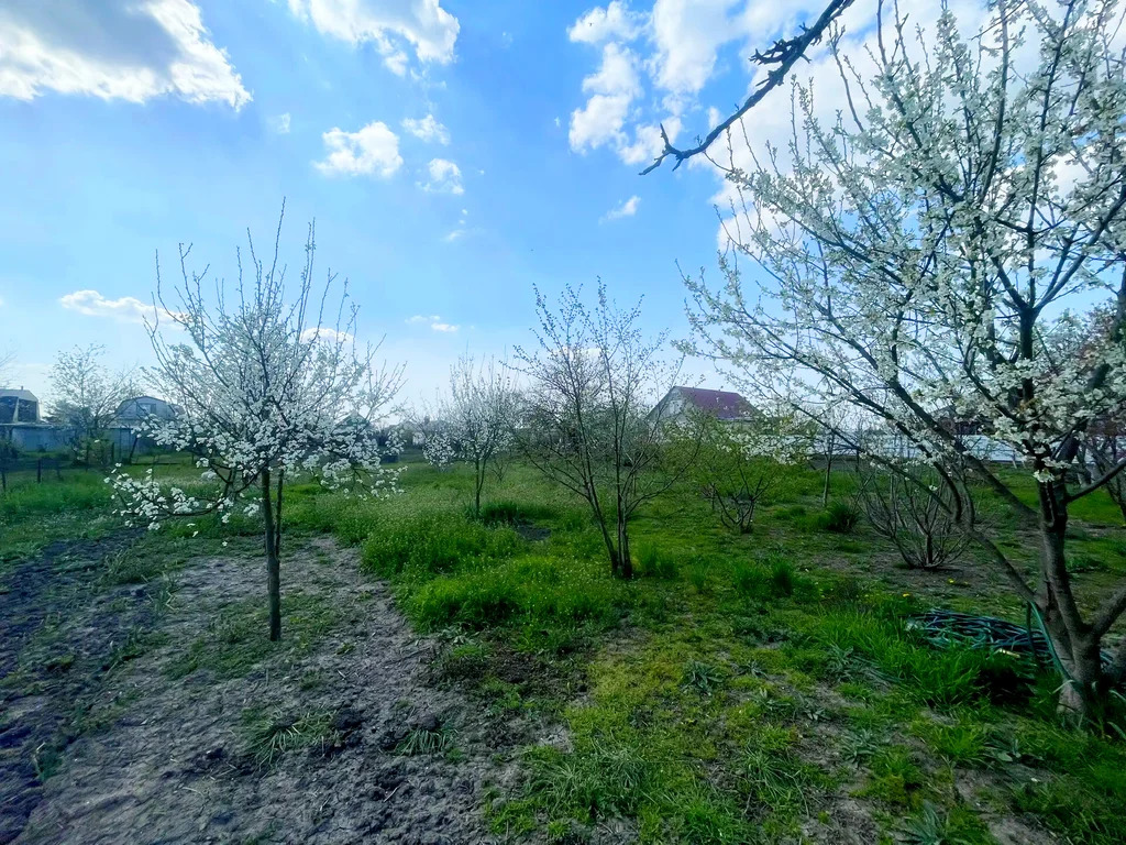Продажа дома, Полтавская, Красноармейский район, ул. Совхозная - Фото 8
