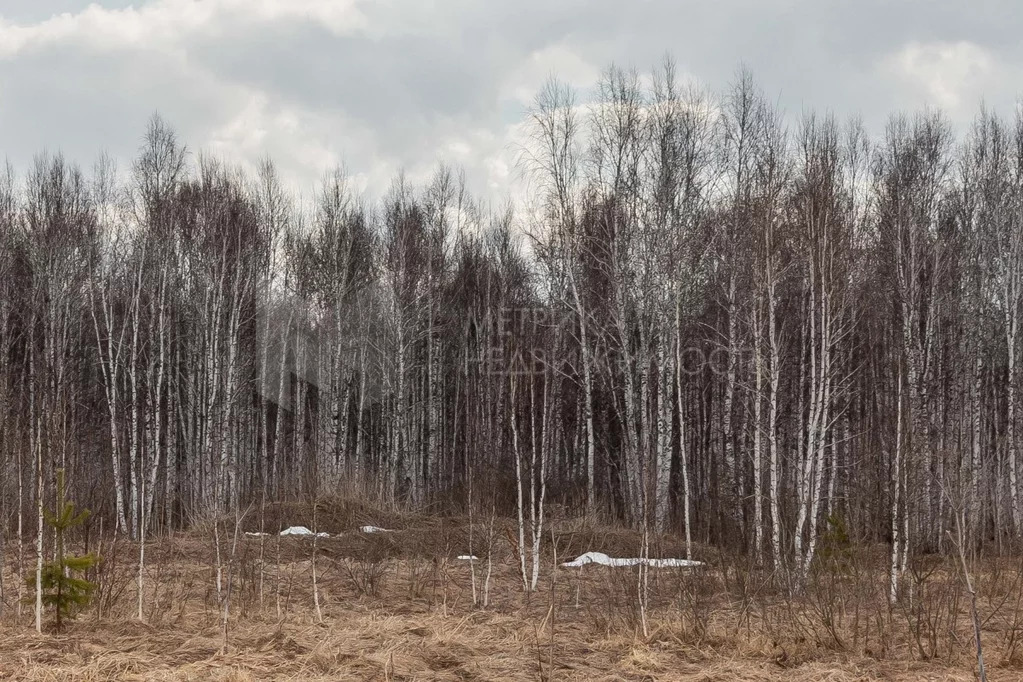 Продажа участка, Нижнетавдинский район, Нижнетавдинский р-н - Фото 14