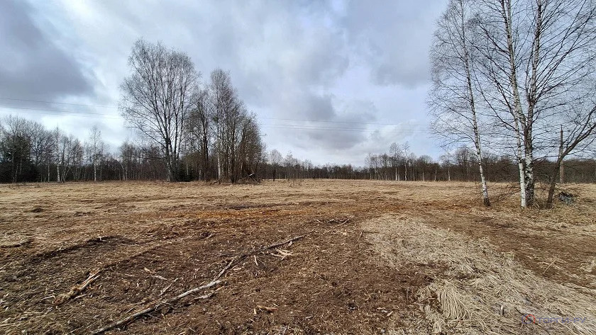 Продажа земельного участка, Давыдково, Зубцовский район - Фото 1