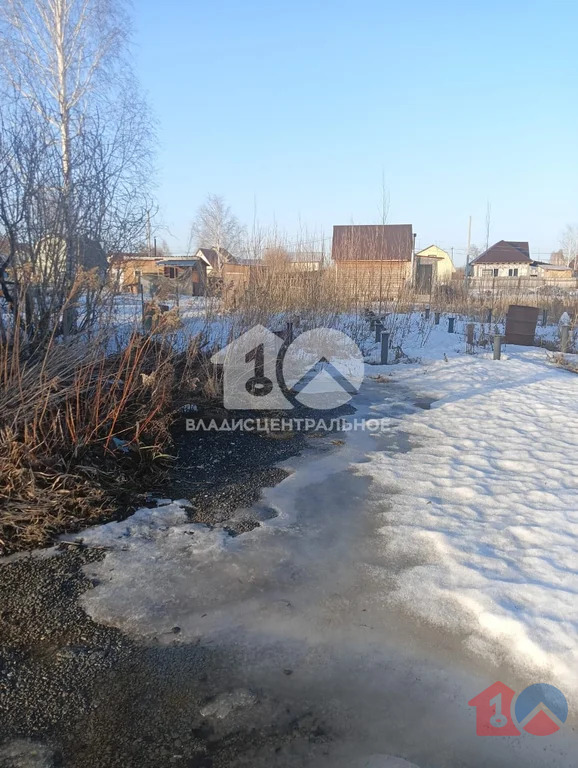 Новосибирский район, садовое товарищество Калинка, 8-я аллея,  земля ... - Фото 0