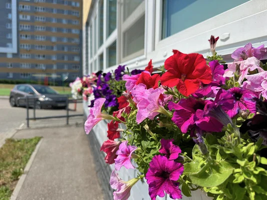 Продам однокомнатную (1-комн.) квартиру, Гагарина пр-кт, 36к5, Нижн... - Фото 26