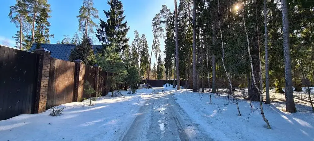 Николина Гора ДПК ранис 25 соток красивого леса - Фото 4