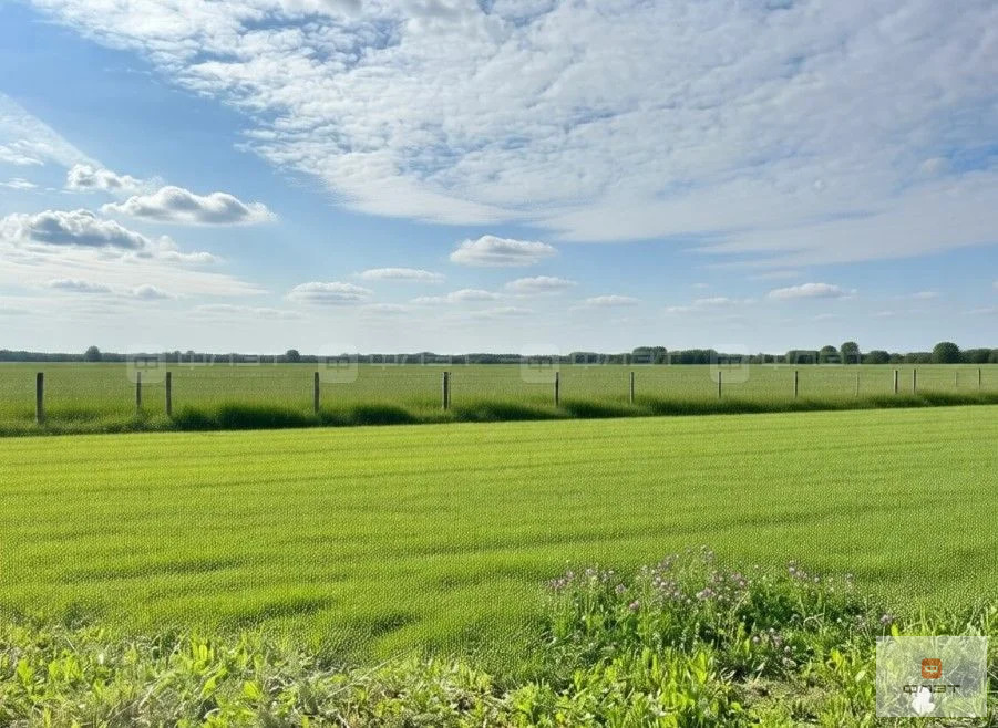 Продажа участка, Куюки, Пестречинский район, ул. Центральная 1-я - Фото 2