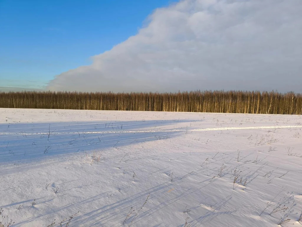 Продажа участка, Васильево, Коломенский район - Фото 4