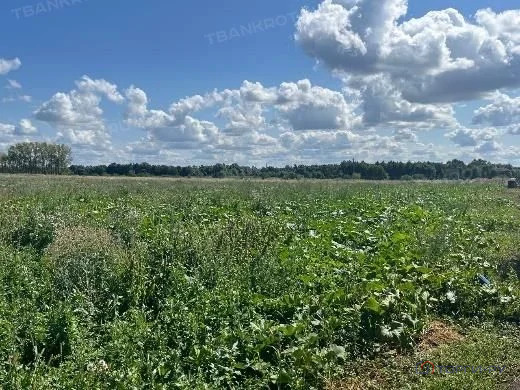 Продажа участка, Симбухово, Мокшанский район, ул. Школьная - Фото 8