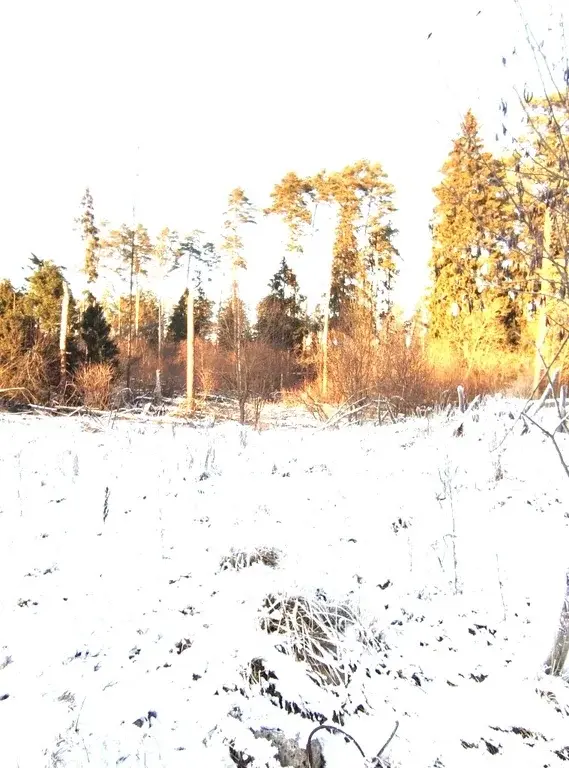 Участки ИЖС на Рублевке в тихом месте, рядом речка и лесной массив - Фото 1