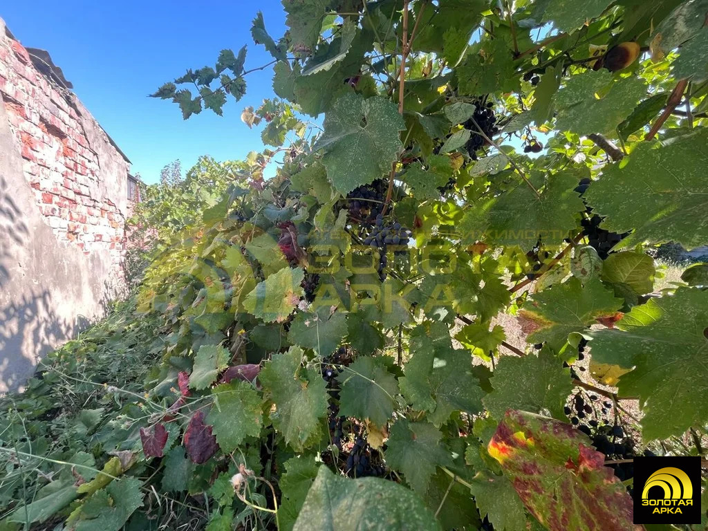 Продажа дома, Варениковская, Крымский район, ул. Золотых - Фото 19