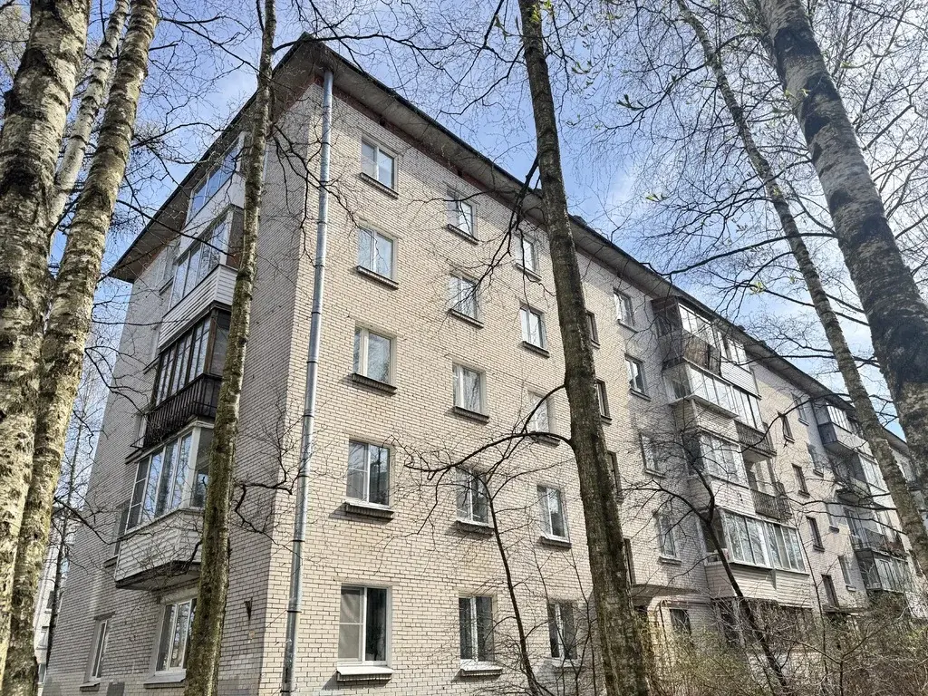 1-к. квартира, 29,1 м2, 3/5 эт. - Фото 25