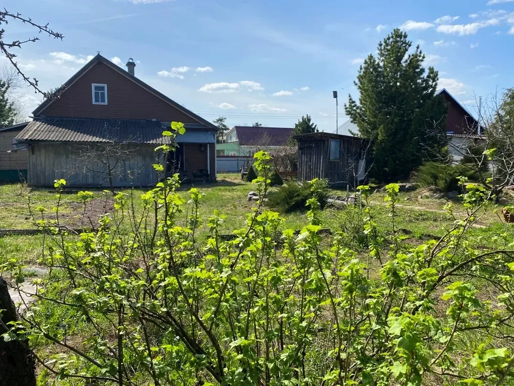 Дом в деревне Цаплино - Фото 20