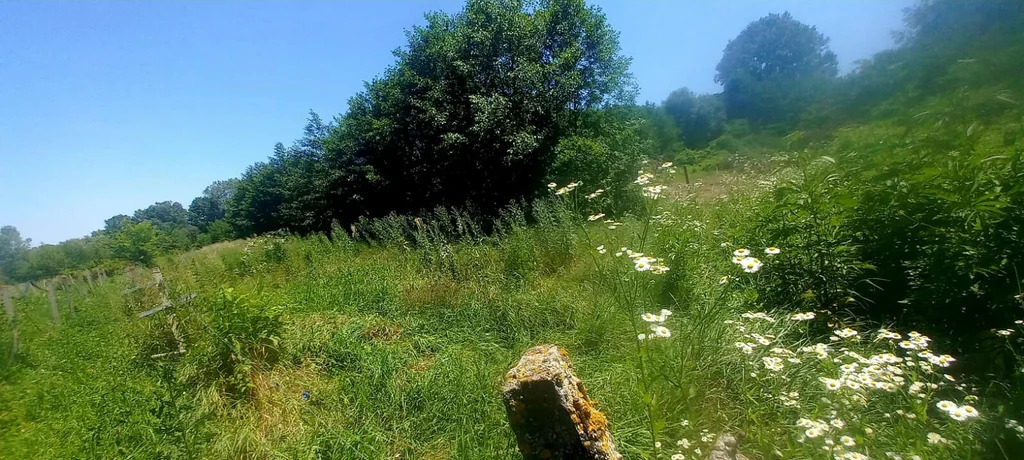 Продажа участка, Смоленская, Северский район, ул. Луговая - Фото 2