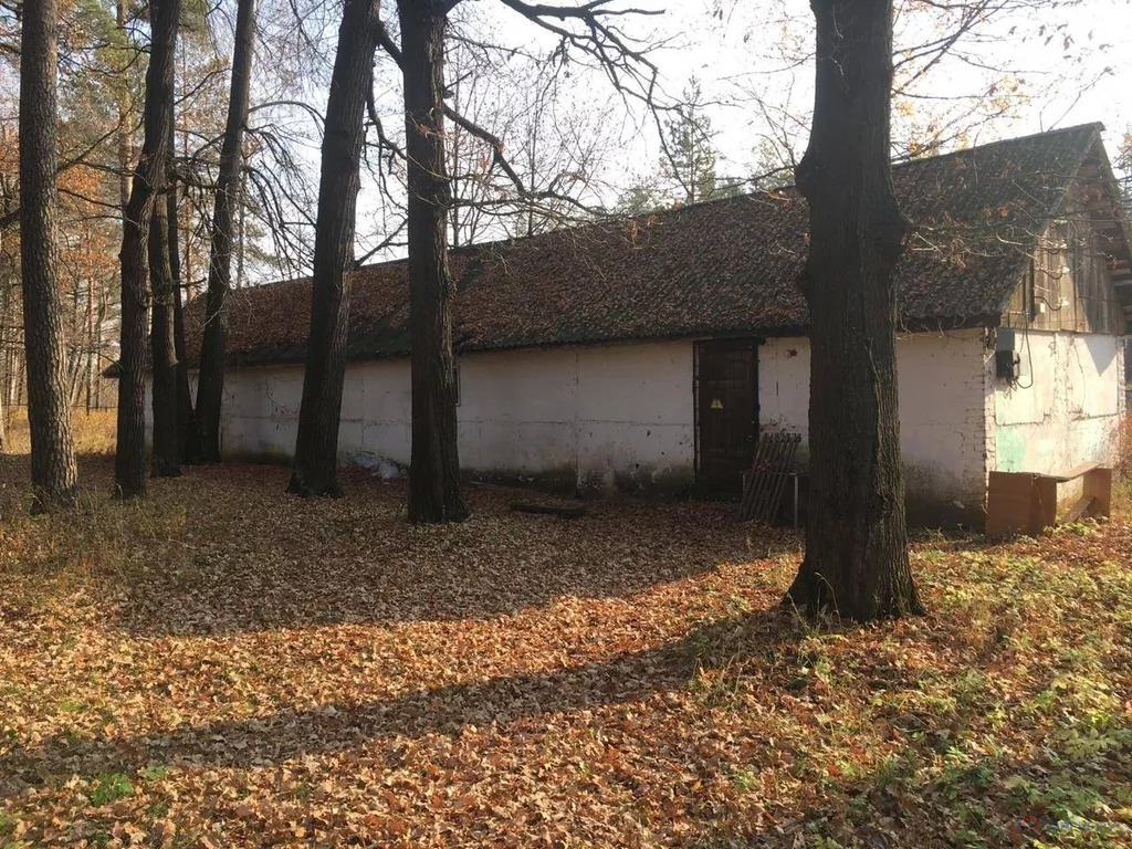 Продажа готового бизнеса, Орехово-Зуевский район, Загородный детский . - Фото 1