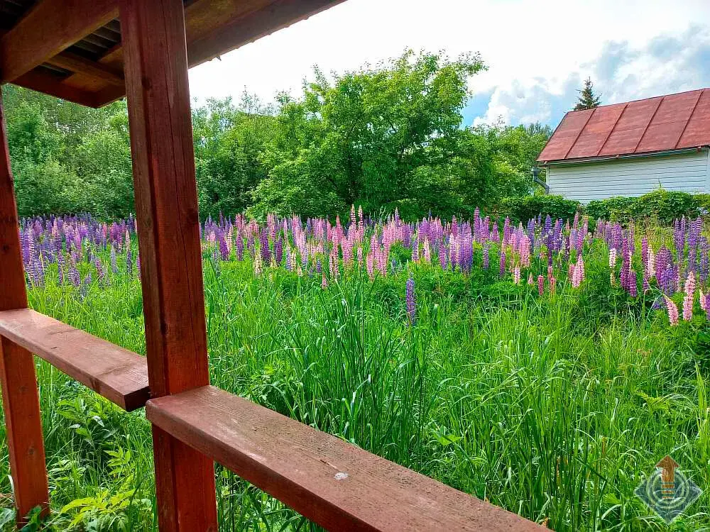 Продажа лесной дачи на 10 сот. в СНТ Порядино, Наро-Фоминский район - Фото 11