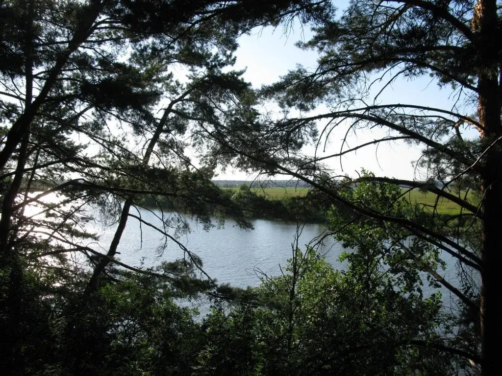 Участок на высоком берегу Москва - реки в Барвихе, Рублевка 5 км. - Фото 2