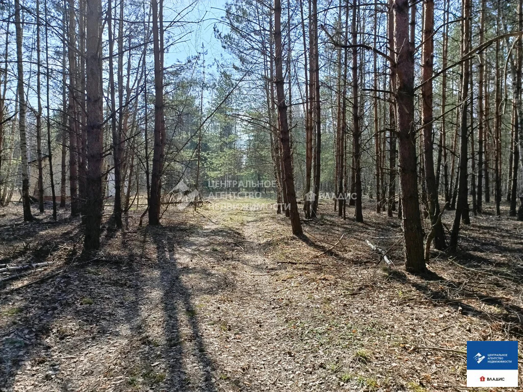 Продажа дома, Рязанский район, садоводческое товарищество Пресс-3 - Фото 21