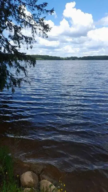 Продажа 38 га на первой линии Вазузского Тверская обл.Зубцовский р-н - Фото 2