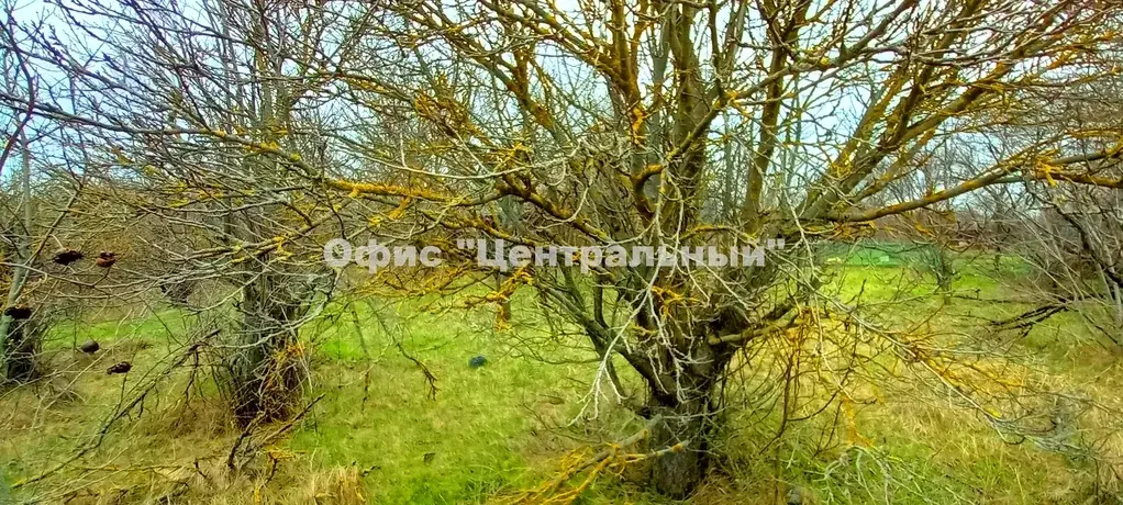 Неклиновский район, с.Морской Чулек, участок 6,5 сот. в 1,5 км от моря - Фото 3