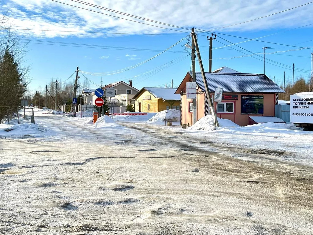 Продажа дома, Павловск, ул. Мичурина - Фото 19