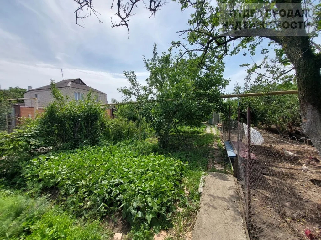 Объект 537400 - Фото 23