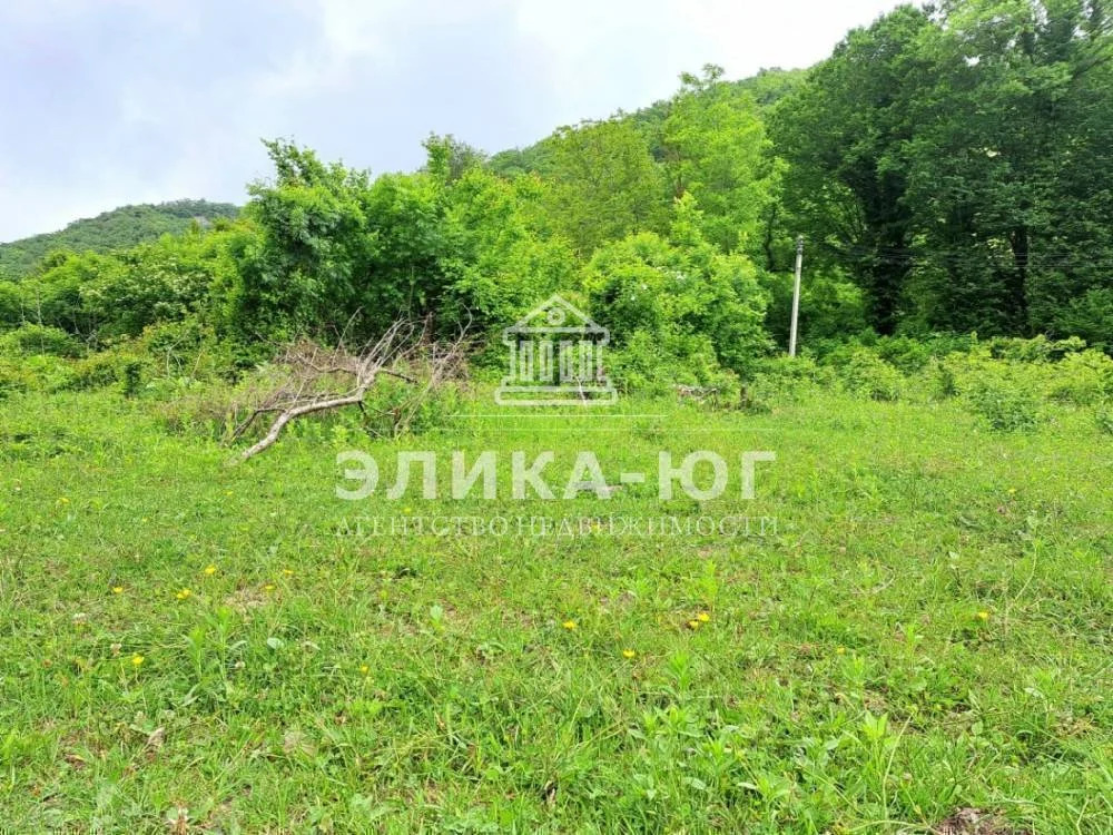 Продажа участка, Лермонтово, Туапсинский район, снт.Бодрость - Фото 1