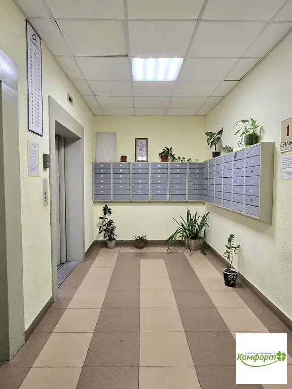Продается 1 комнатная в г. Раменское, Северное шоссе, дом 24 - Фото 15