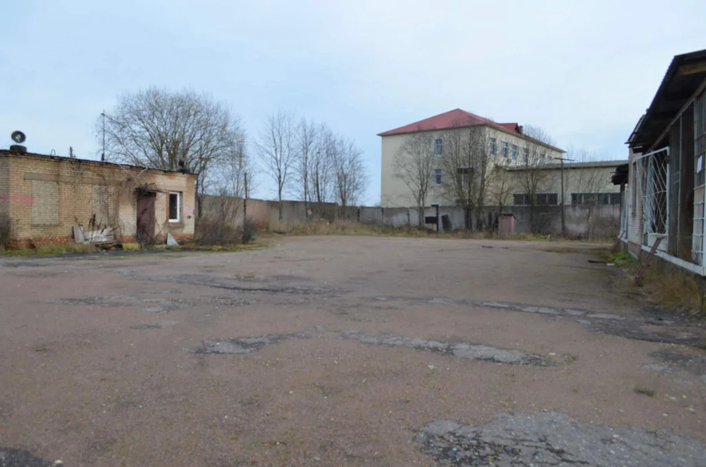 имущественный производственно-складской комплекс в г. волосово - Фото 1