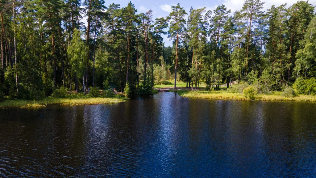 Дом 72 м2 на участке 5.7 сот. - Фото 5
