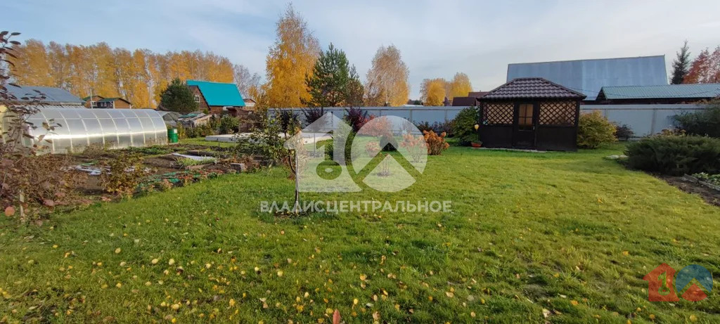 Новосибирский район, садовое товарищество Шафран,  земля на продажу - Фото 2