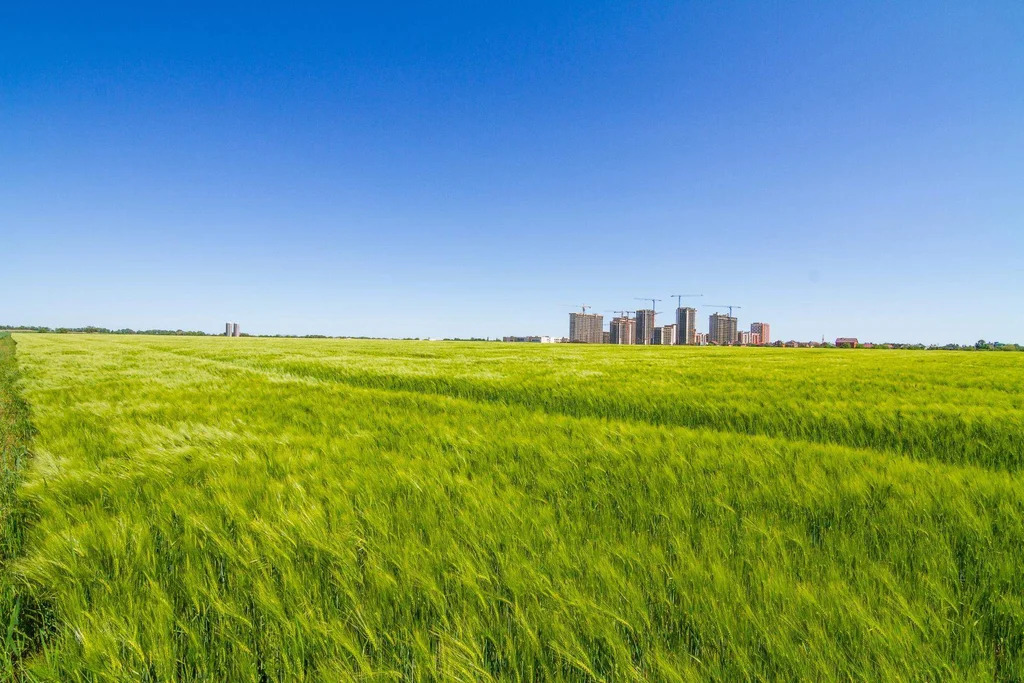 Продается земельный участок 1961 сот. - Фото 8