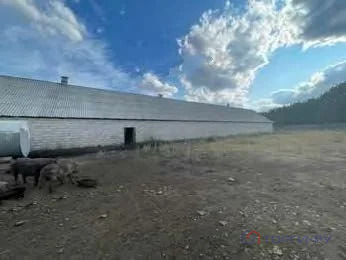 Продажа производственного помещения, Бикмурзино, Неверкинский район, ... - Фото 6