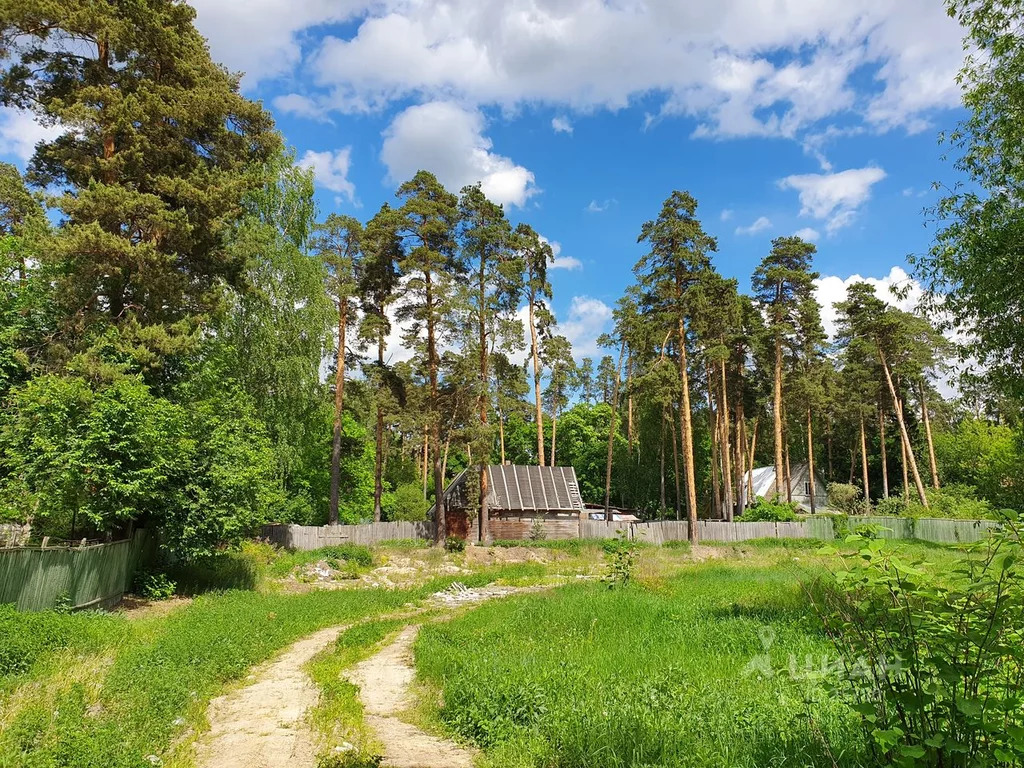 Ильинский пруд раменский район фото