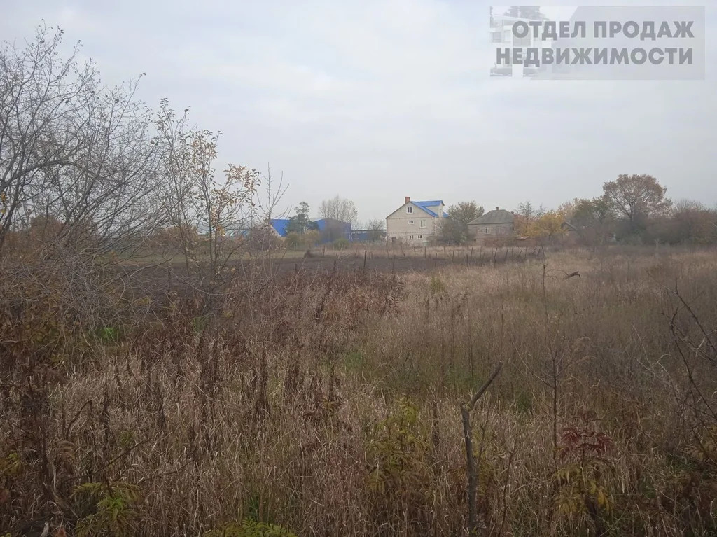 Участок в пригороде 24 сотки - Фото 2