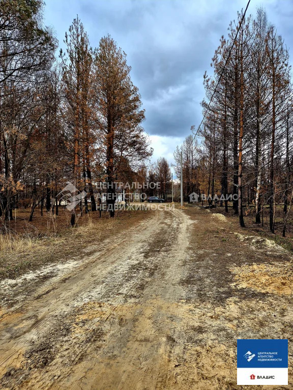Продажа участка, Багданово, Рязанский район, Удачная улица - Фото 7