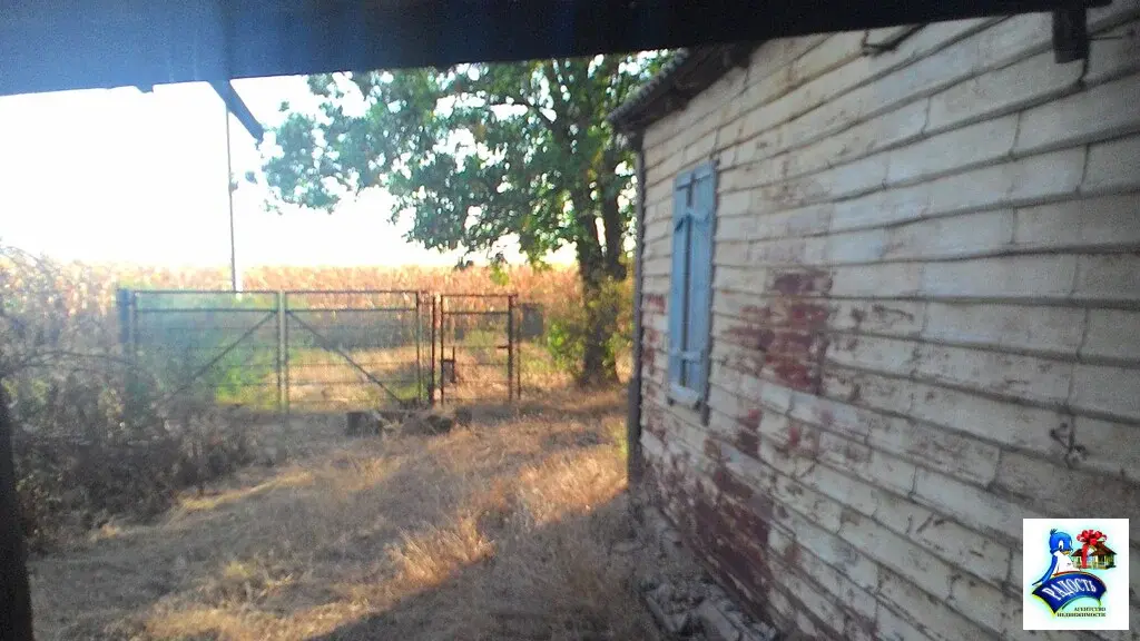 Продам старенький домик возле моря с большим участком земли. - Фото 4