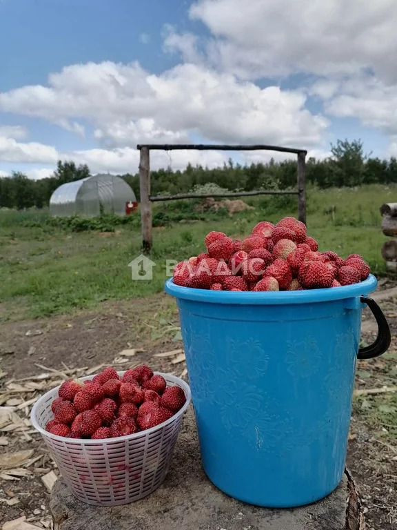 Вязниковский район, деревня Каликино, дом на продажу - Фото 48