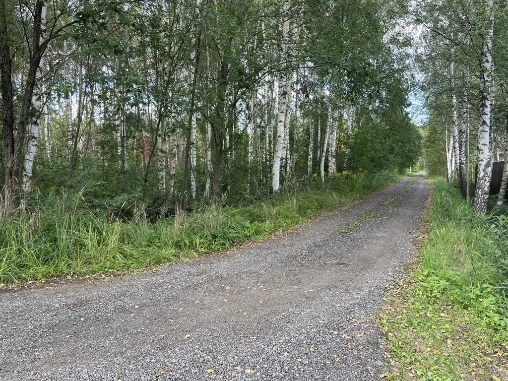 Продажа участка, Дмитровский район - Фото 3