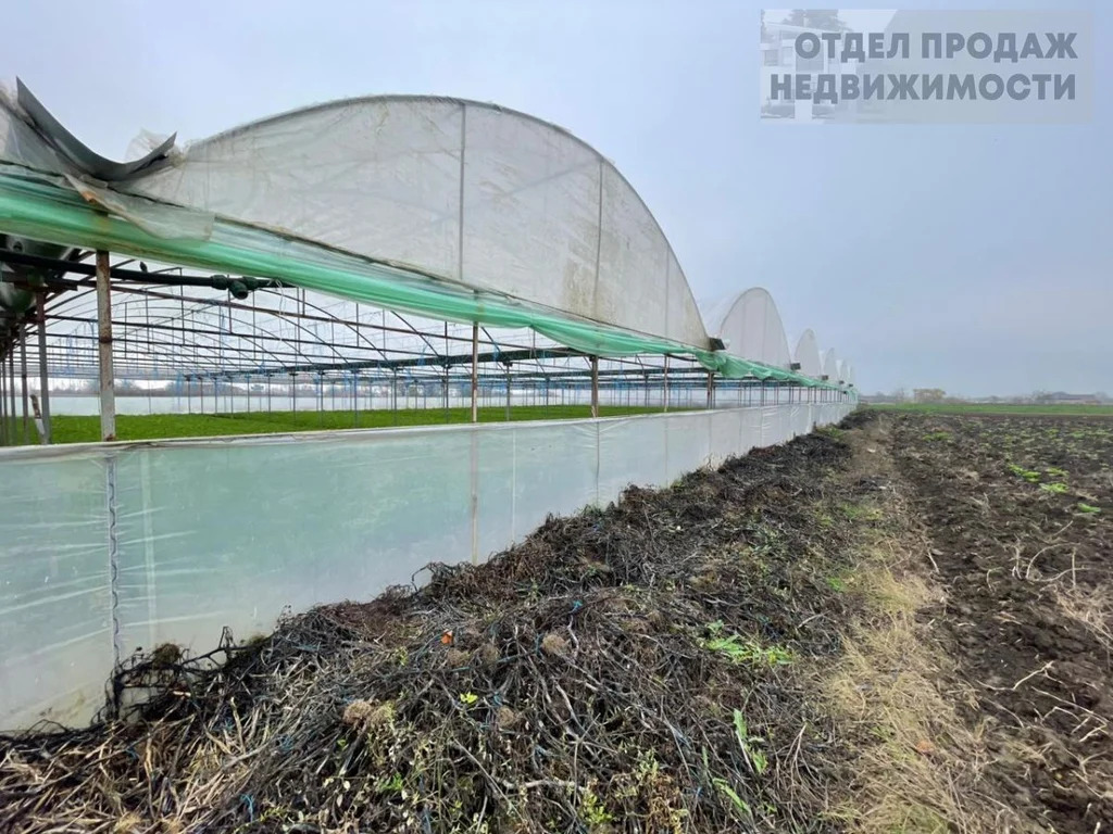 Участок с готовым бизнесом - Фото 5