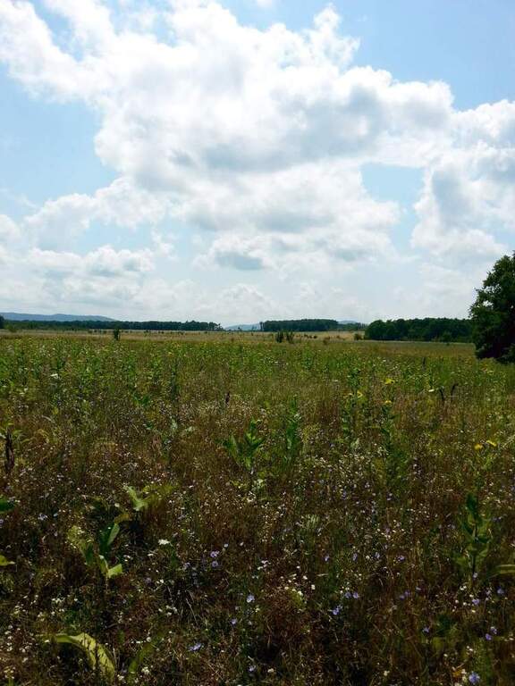 григорьевская станица краснодарский край природа. поселок григорьевский. северский район ,ст. григорьевская северский район краснодарский край. станица григорьевская краснодарский край.