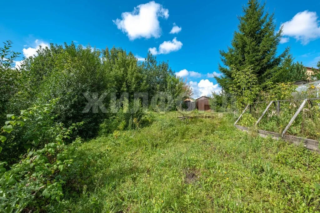 Продажа дома, Новосибирск, ул. Пионерская - Фото 8