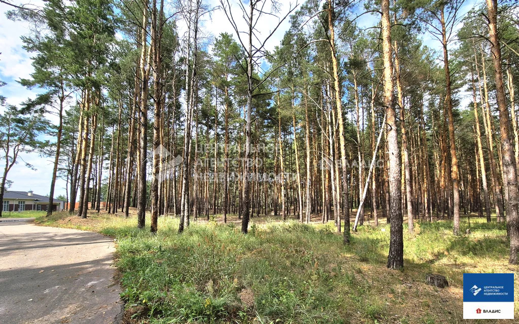 Продажа участка, Рязанский район - Фото 5