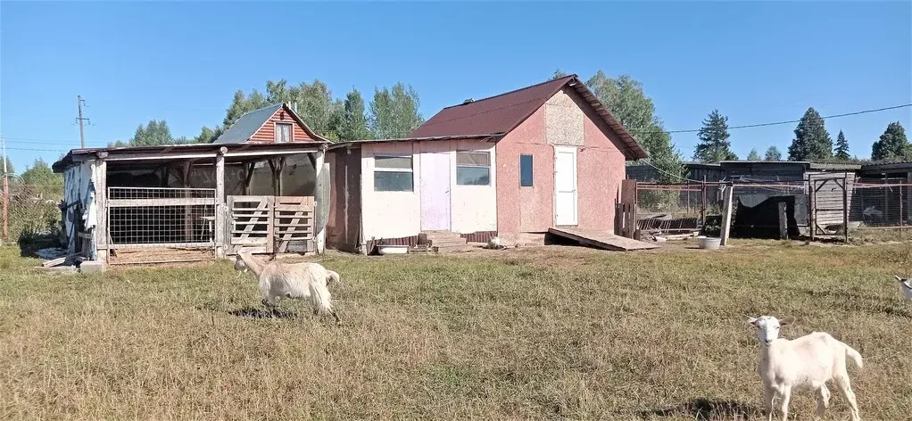 Дом, 2 га и фермерское хозяйство - Фото 5