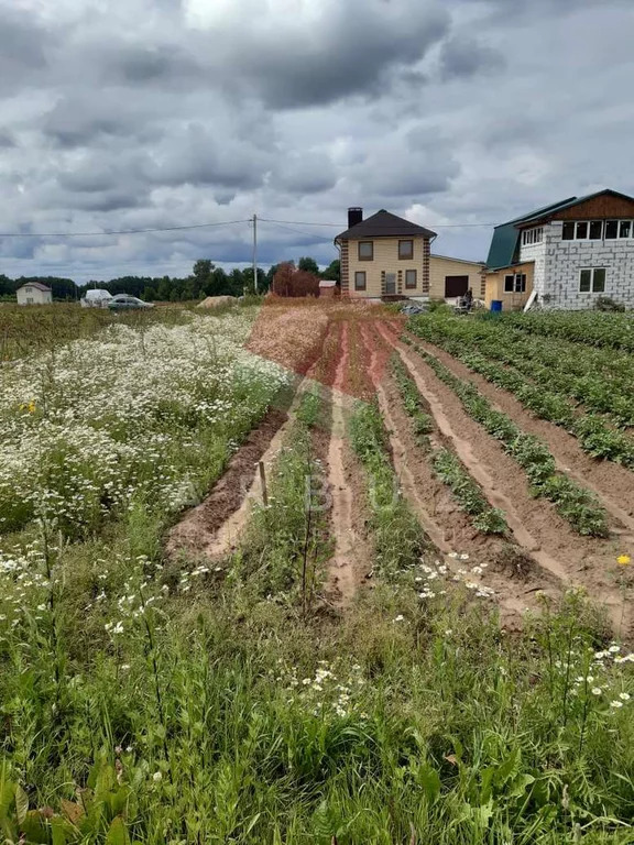 Козловы горы кострома фото