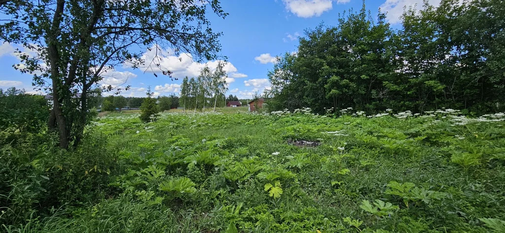 Продажа участка, Хомяки, Одинцовский район - Фото 3